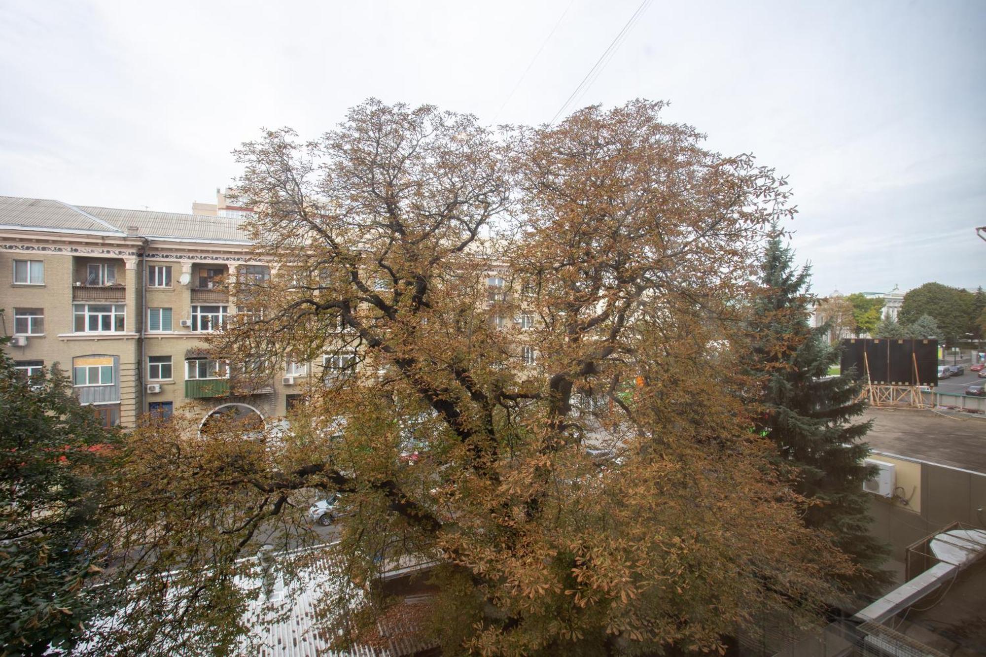Skovorody Metro Station Daire Harkiv Dış mekan fotoğraf